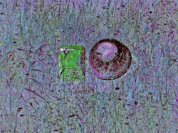 I 038C